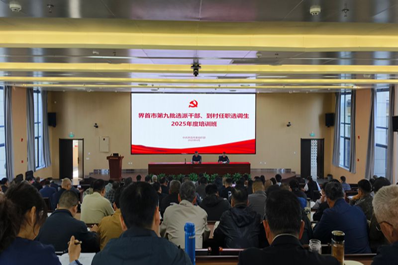 界首市举办第九批选派干部、到村任职选调生2025年度培训班