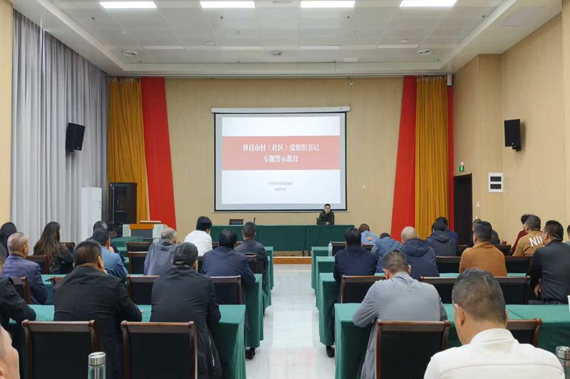 界首市：组织开展村（社区）党组织书记 警示教育活动